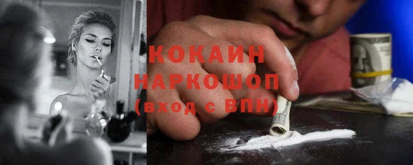 стаф Белокуриха